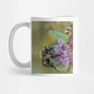 Bee 13 Mug